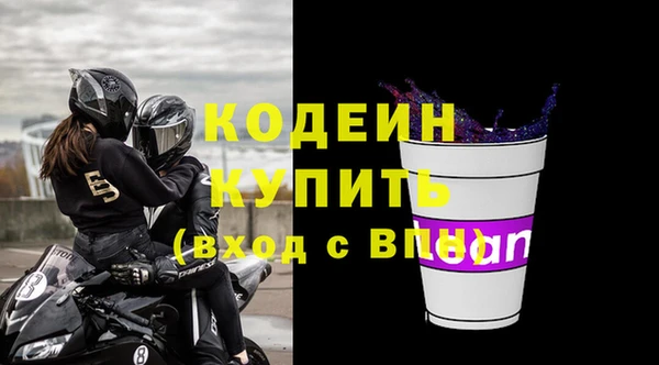 шишки Белоозёрский