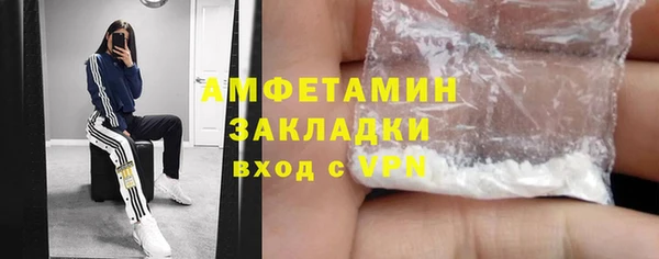 шишки Белоозёрский