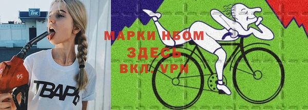 шишки Белоозёрский