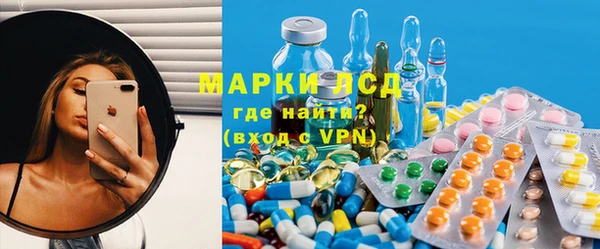 шишки Белоозёрский