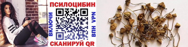 МЕГА вход  Вытегра  Псилоцибиновые грибы мицелий 
